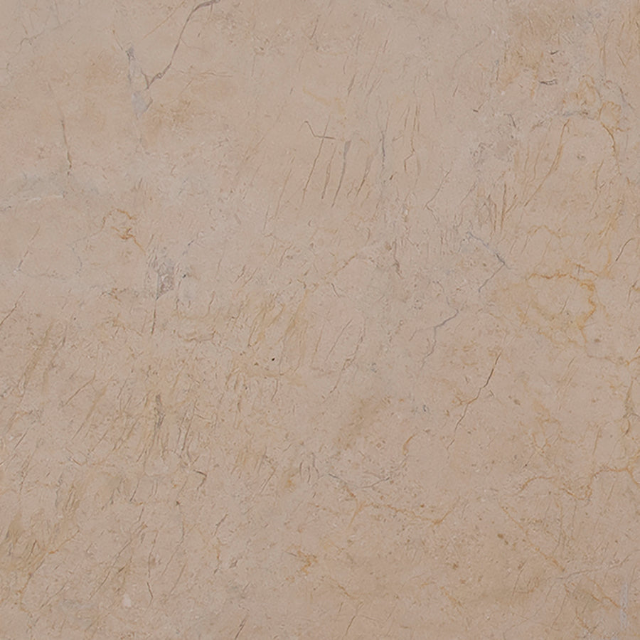 MSI - CREMA MARFIL HONED SELECT - Tile - 12" x 12"