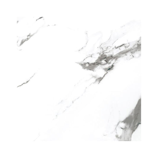 OLYMPIA TILE + STONE - Carrara X Series - Porcelain Tile - D White - 24" x 24"