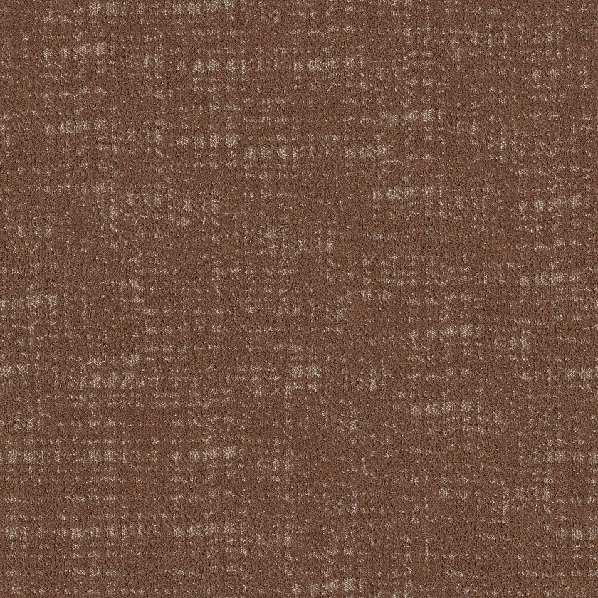 SHAW FLOORS - CARPET - TAILORED CRAFT - HEIRLOOM