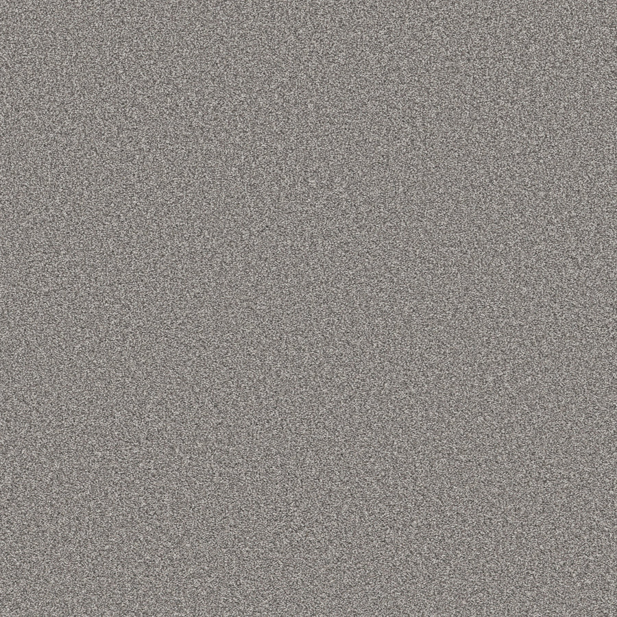 Shaw Floors - Carpet - Simply the Best Values Collection - Trusolutions II - 12' - Storm Cloud