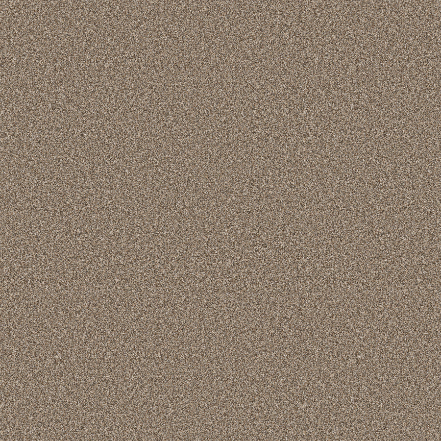 Shaw Floors - Carpet - Pet Perfect+ Collection - Refined Beauty - 12' - Rodeo