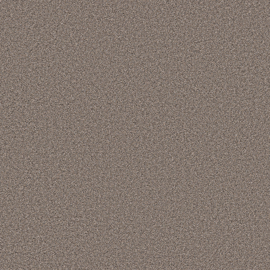 Shaw Floors - Carpet - Pet Perfect Collection - Grand Influence I - 12' - Mushroom
