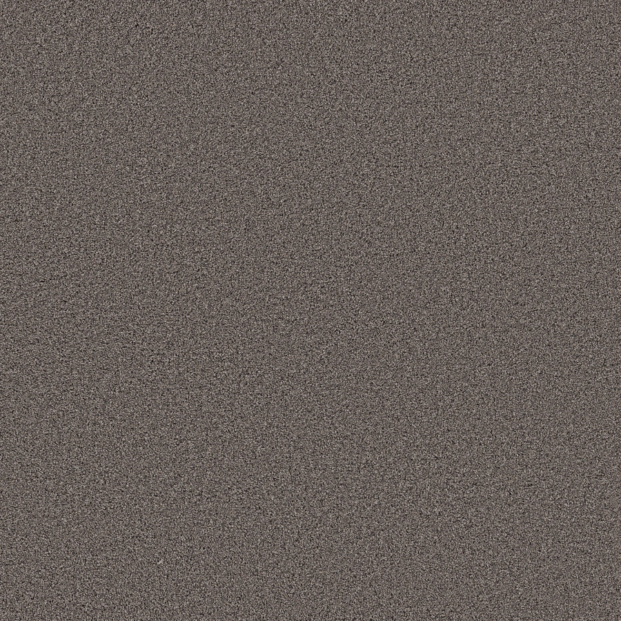 Shaw Floors - Carpet - Pet Perfect Collection - Grand Influence I - 12' - Knighthood