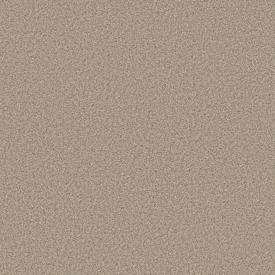 Shaw Floors - Carpet - Pet Perfect Collection - Grand Influence I - 12' - Sand Hill