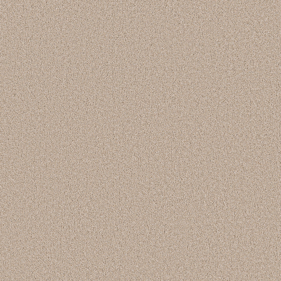 Shaw Floors - Carpet - Pet Perfect Collection - Grand Influence II - 12' - Satin Shimmer