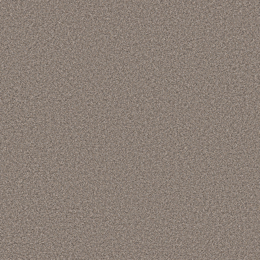 Shaw Floors - Carpet - Pet Perfect Collection - Grand Influence III - 12' - Stepping Stone