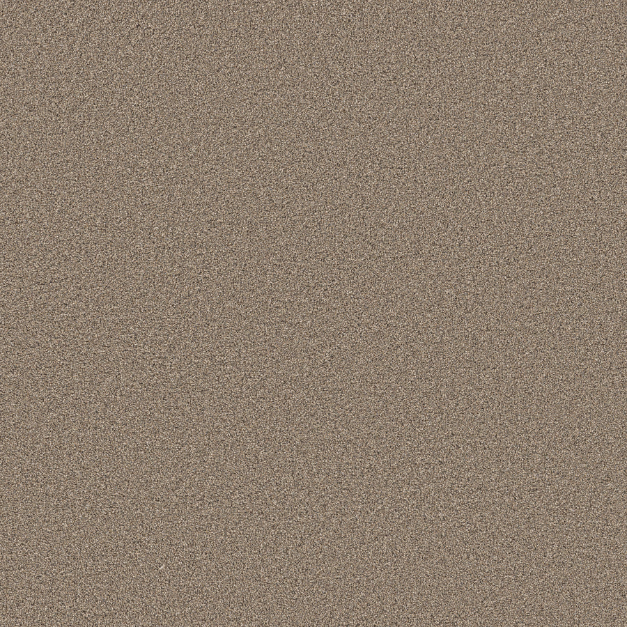 Shaw Floors - Carpet - Pet Perfect Collection - Grand Influence III - 12' - Summer Straw