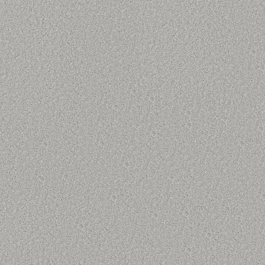 Shaw Floors - Carpet - Simply the Best Values Collection - Good Move I - 12' - Soft Fleece