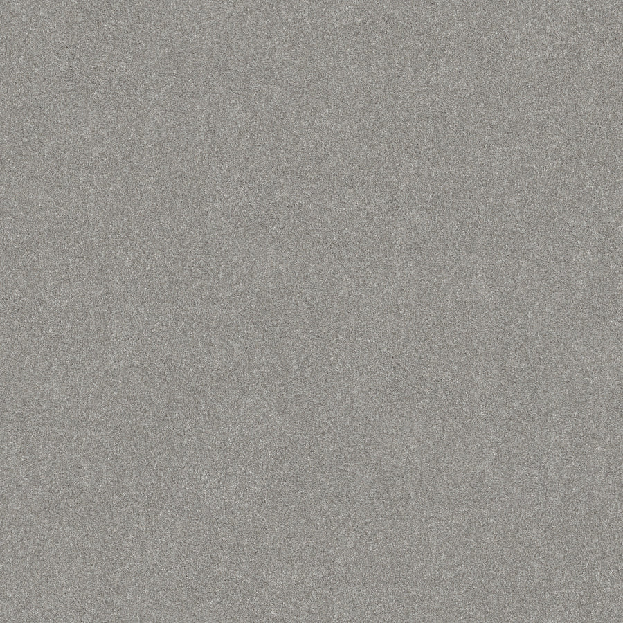 Shaw Floors - Carpet - Simply the Best Values Collection - Good Move III - 12' - Fog