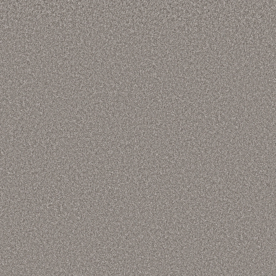 Shaw Floors - Carpet - Simply the Best Values Collection - Imaginable I - 12' - Stone Path