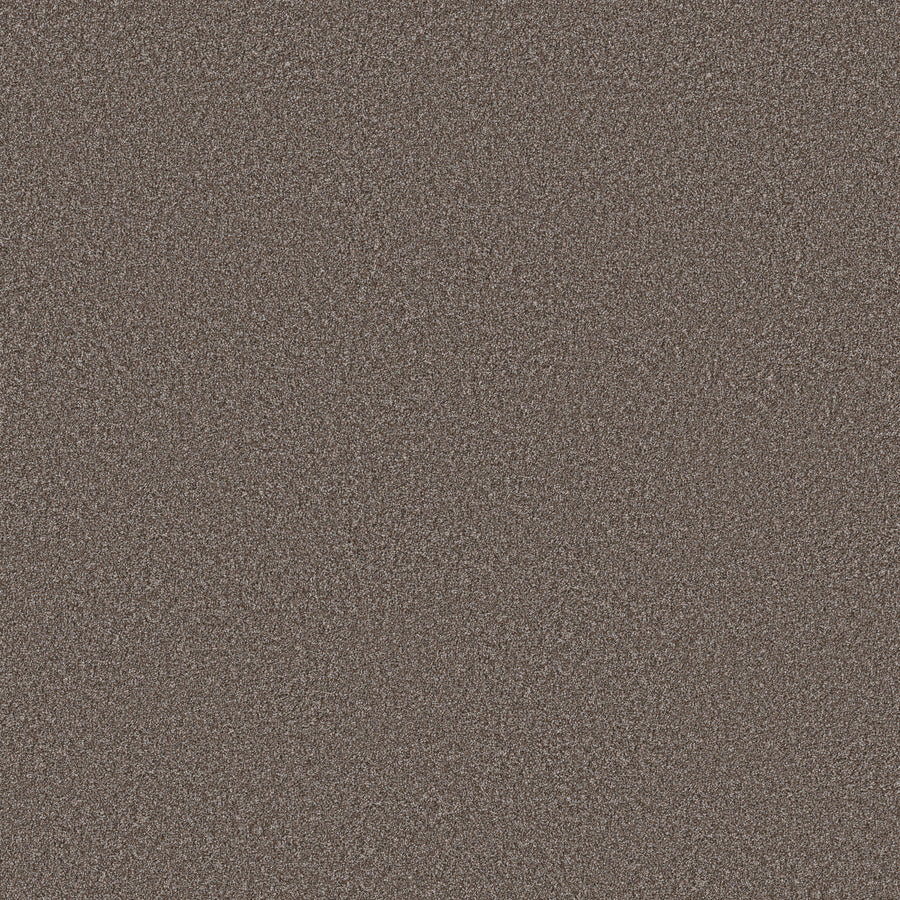 Shaw Floors - Carpet - Simply the Best Values Collection - Imaginable I - 12' - French Roast