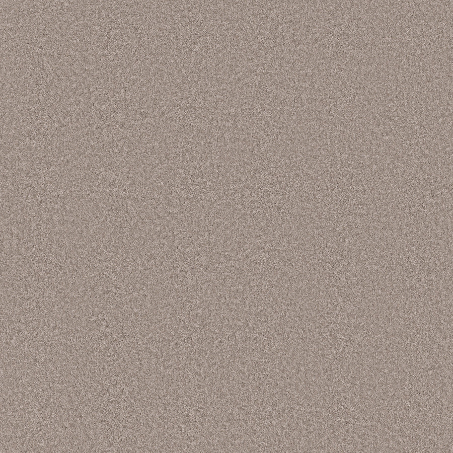 Shaw Floors - Carpet - Simply the Best Values Collection - Imaginable II - 12' - Misty Harbor