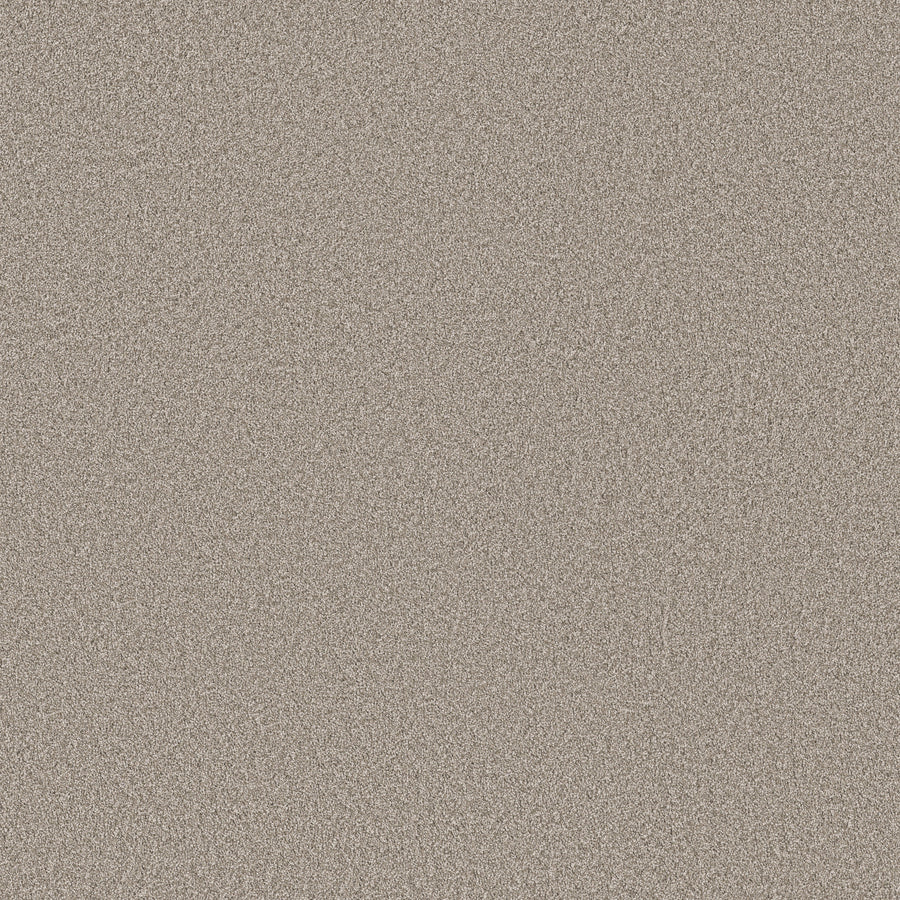 Shaw Floors - Carpet - Simply the Best Values Collection - Imaginable II - 12' - Granite Dust