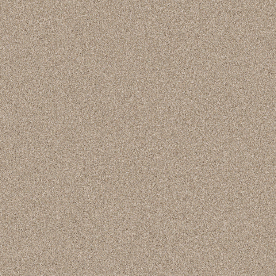 Shaw Floors - Carpet - Simply the Best Values Collection - Imaginable III - 12' - Latte