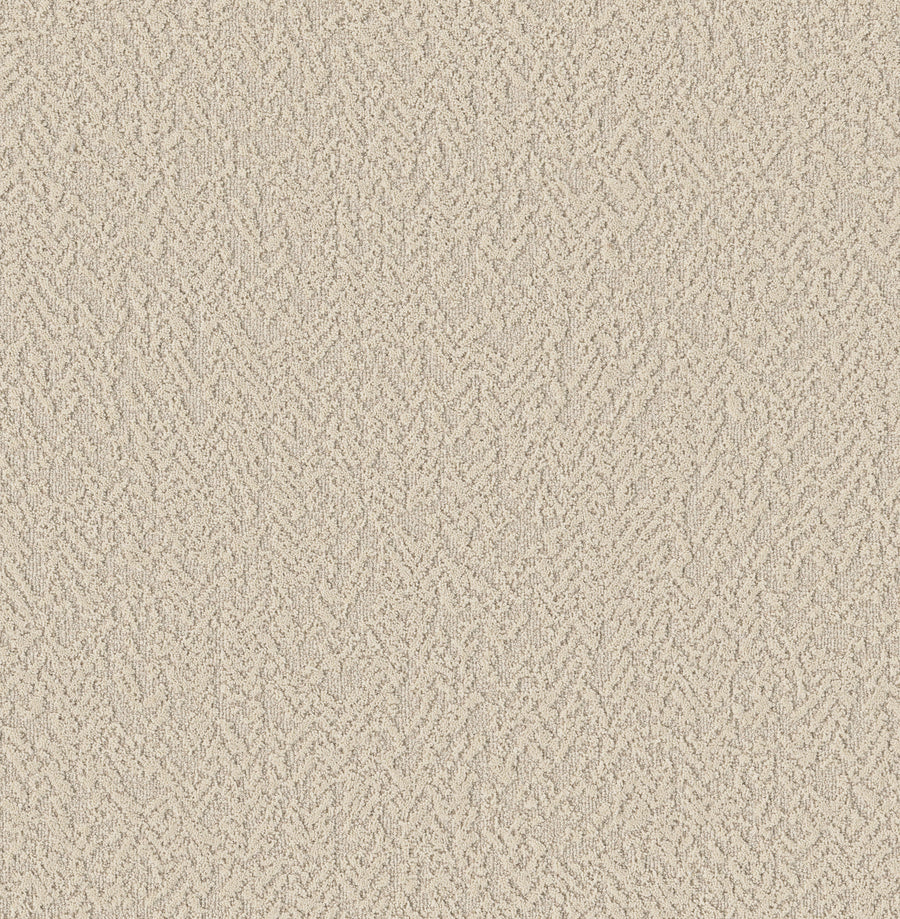 Shaw Floors - Carpet - Pet Perfect Collection - Joyful Spirit - 12' - Whiskers