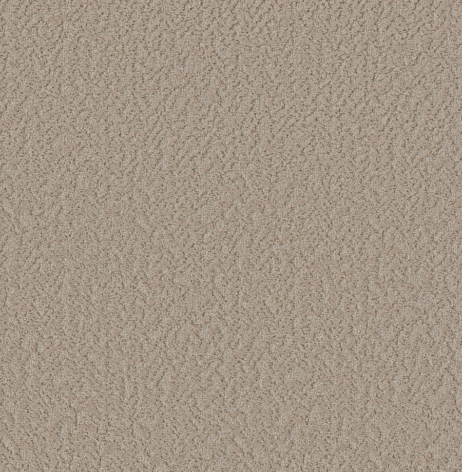 Shaw Floors - Carpet - Pet Perfect Collection - Joyful Spirit - 12' - Picnic