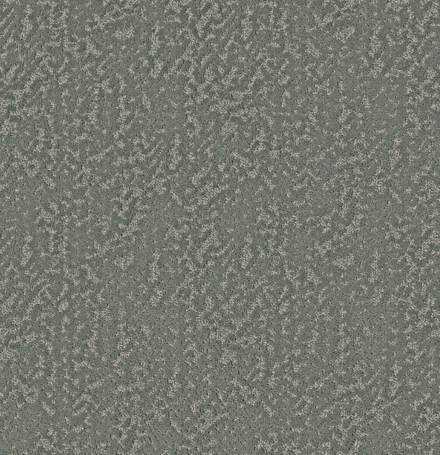 Shaw Floors - Carpet - Pet Perfect Collection - Joyful Spirit - 12' - Dragonfly