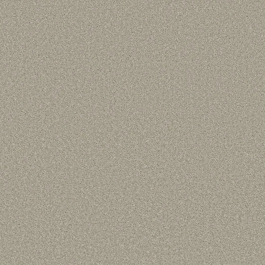 Shaw Floors - Carpet - Simply The Best - TRUSOLUTIONS III - Bleached Oak