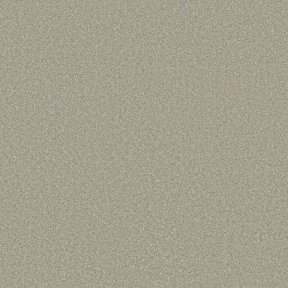 Shaw Floors - Carpet - Simply The Best - TRUSOLUTIONS III - Bleached Oak