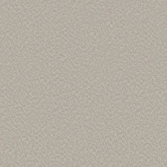 Shaw Floors - Carpet - Foundations Collection - Alluring Canvas - Baltic Stone