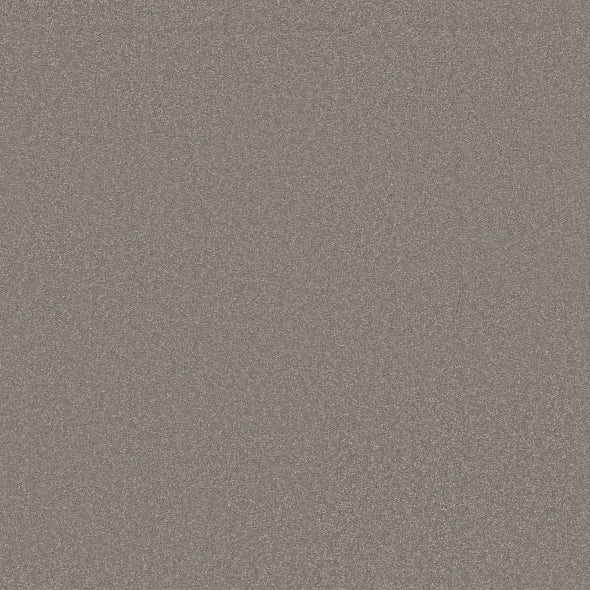 Shaw Floors - Carpet - Classics Collection - Awaken Spirit I 12' - Boulder Taupe