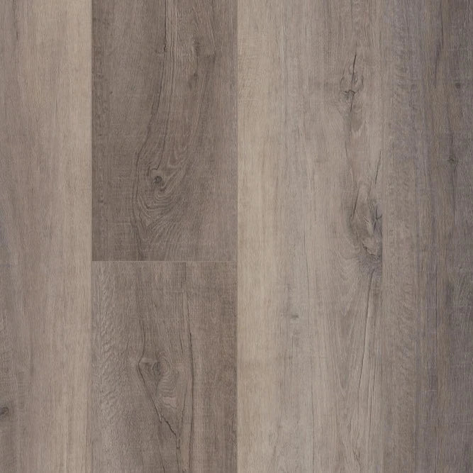 CORETEC - Pro Premium - BERKSHIRE ELM