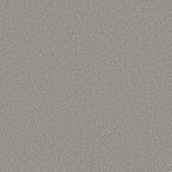 Shaw Floors - Carpet - Simply The Best - TRUSOLUTIONS III - Concrete