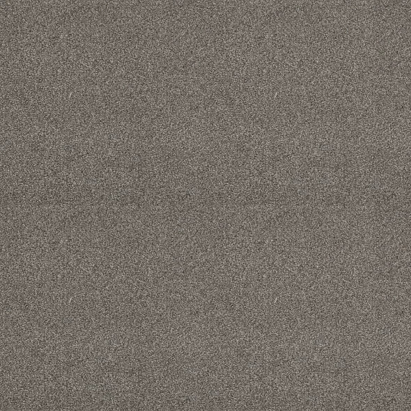 Shaw Floors - Carpet - Simply The Best - Attainable - Cedar Ridge