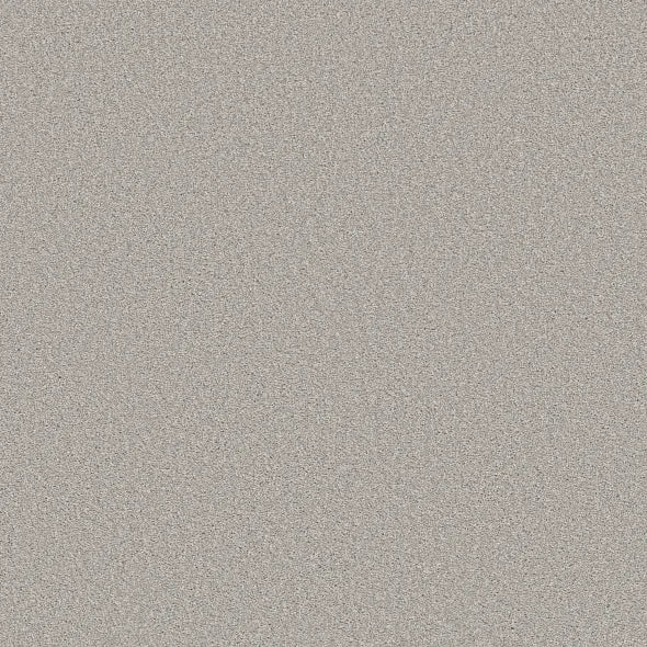 Shaw Floors - Carpet - Simply The Best - TRUSOLUTIONS III - Clear Sky