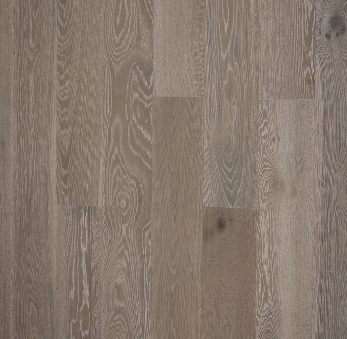 BIYORK - Nouveau 6 Collection - Chelsea Grey