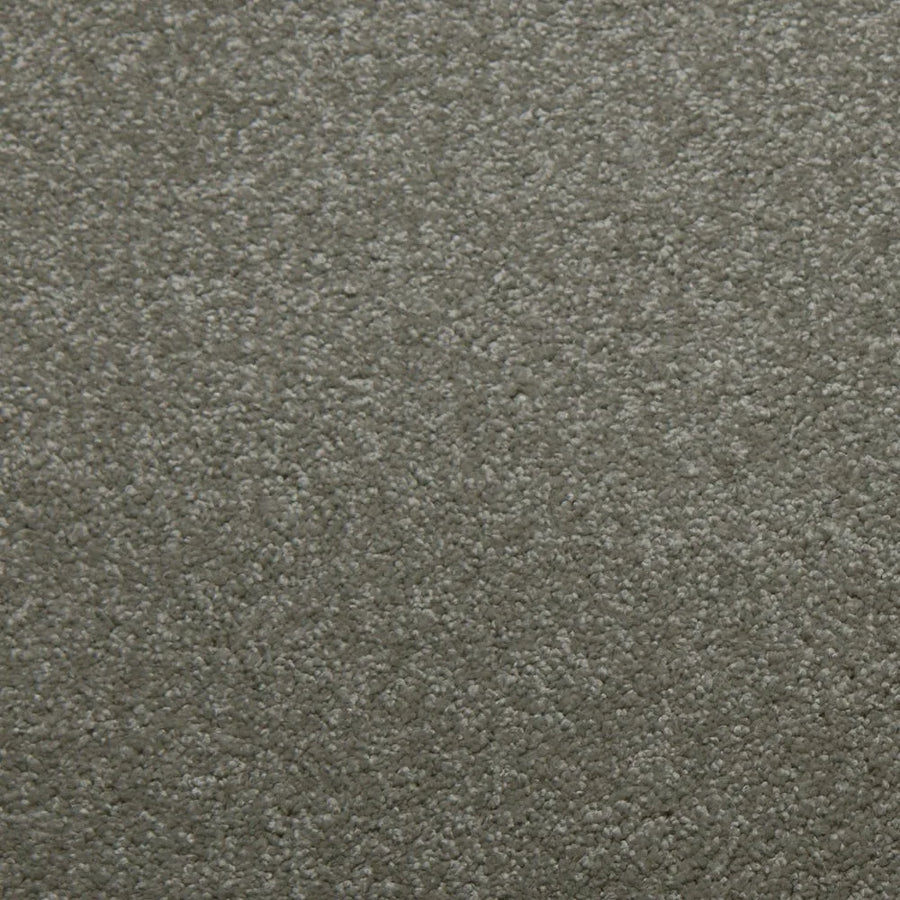 Primco - Estates Carpet - Tender Collection - Chrome