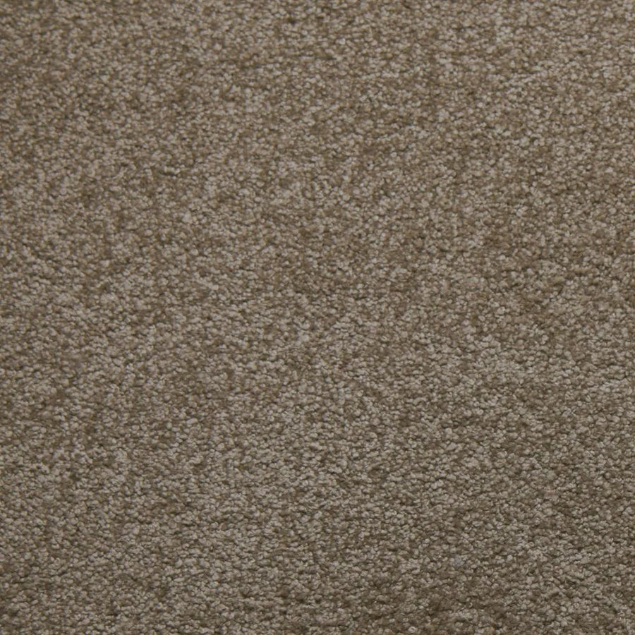 Primco - Estates Carpet - Tender Collection - Composure