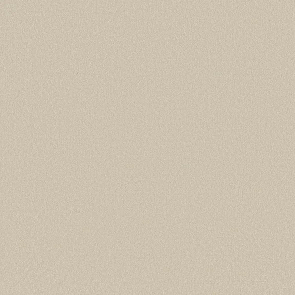 Shaw Floors - Carpet - Classics Collection - Awaken Spirit I 12' - Cream
