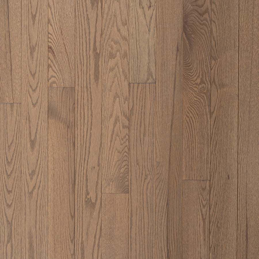 Wickham - Domestic Collection - Engineered Elite Plus - 7" - Select Grade - Red Oak - Forest Hill