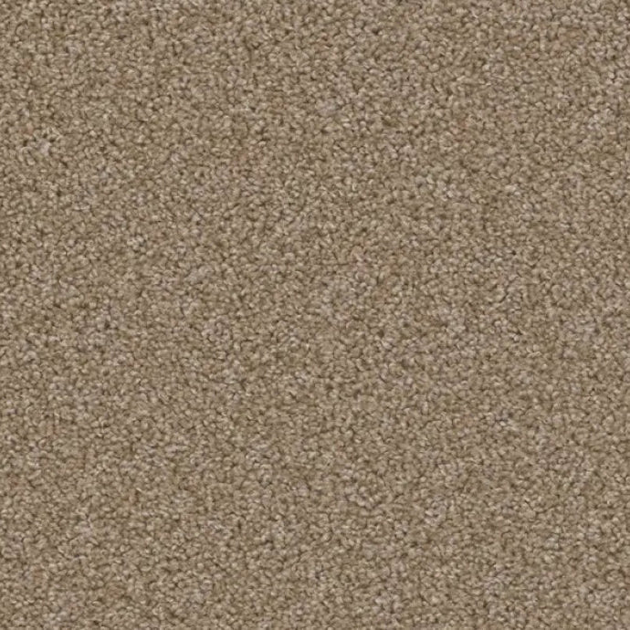ACORN DESIGN - PACIFIC RIM COLLECTION - 24OZ CUT PILE CARPET - GLADE