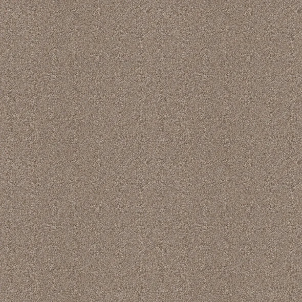Shaw Floors - Carpet - Simply The Best - Attainable - Grecian Tan