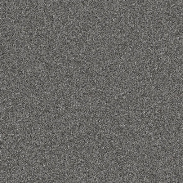 Shaw Floors - Carpet - Simply The Best - Attainable - Hearthstone