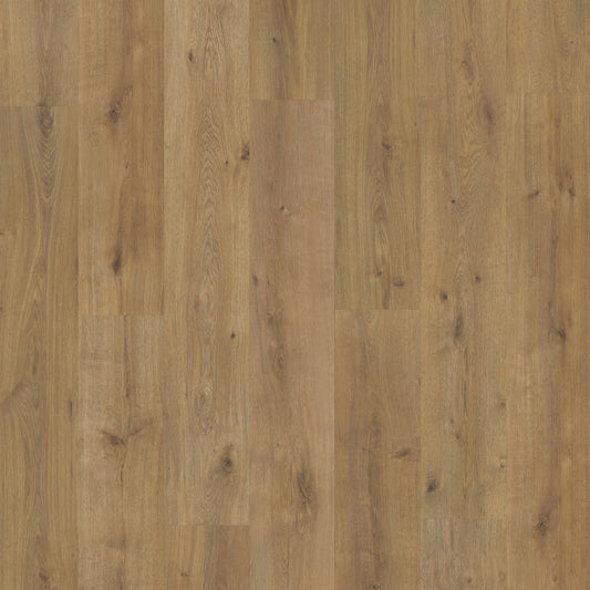 Grandeur Flooring - XXL Collection - Kilimanjaro