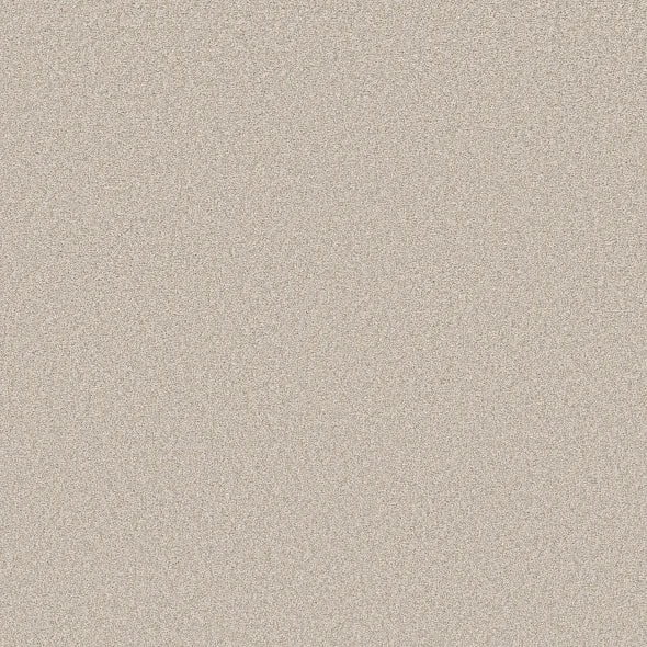Shaw Floors - Carpet- Foundations Collection - HARMONIOUS III - Gallery Opening