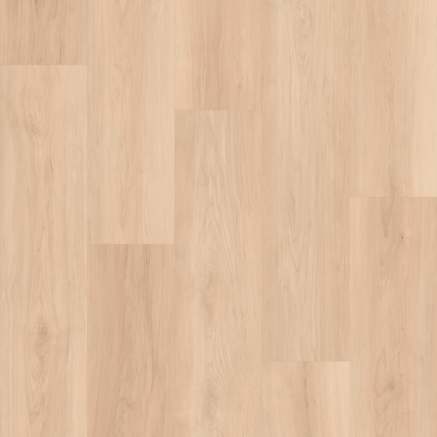 Cyrus Floors - Maple Essence Collection - Honey