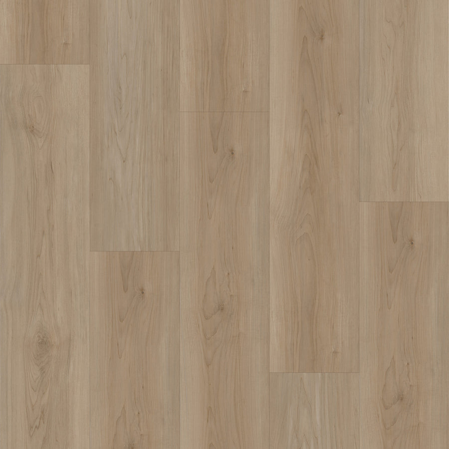 Cyrus Floors - Maple Essence Collection - Toffee