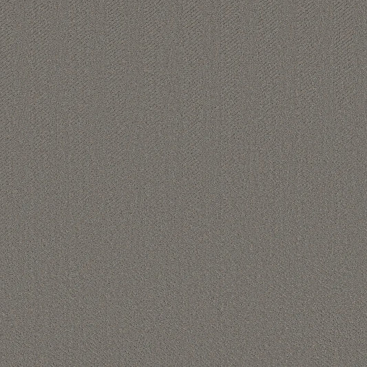 Shaw Floors - Carpet- Simply The Best - Highland Twill - Lunar Haze