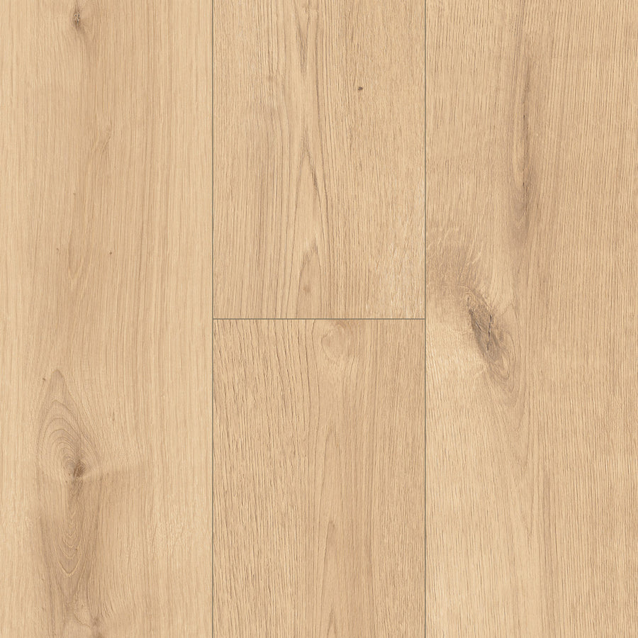 InHaus - Ceramin® - Icon Collection - Melville