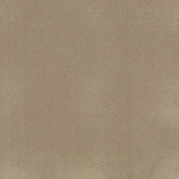 Shaw Floors - Carpet - Classics Collection - Awaken Spirit II - 12' - Muffin