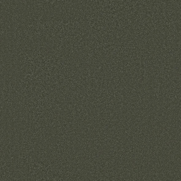 Shaw Floors - Carpet - Classics Collection - Awaken Spirit I 12' - Olive Tree