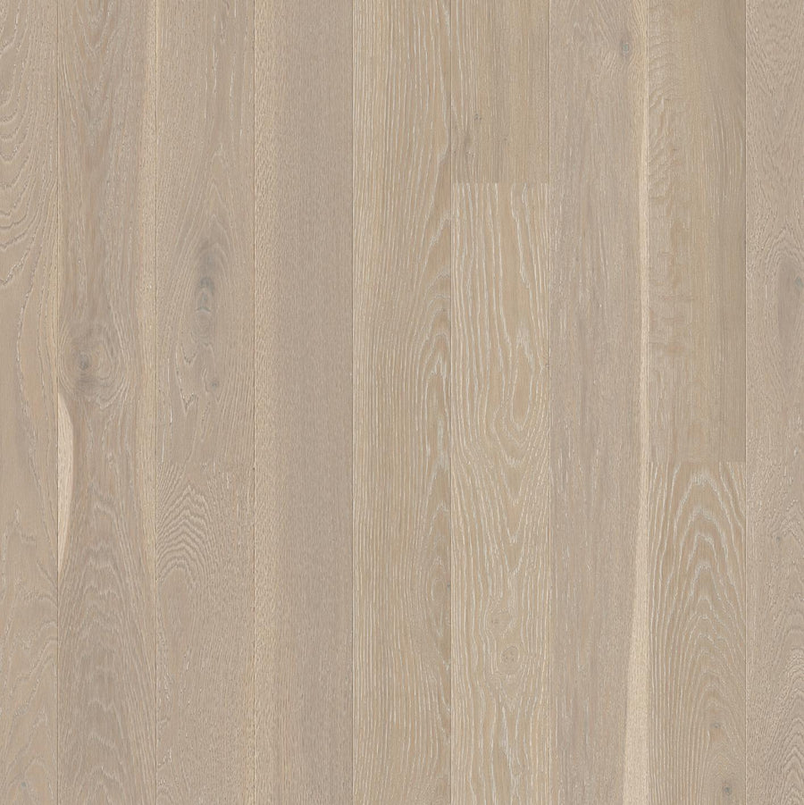BOEN - LIVE PURE - ENGINEERED PLANK - 5 1/2" - OAK GREY HARMONY
