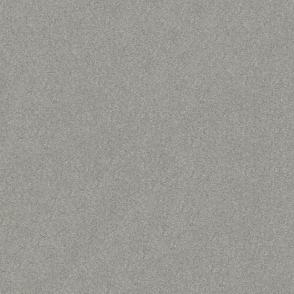 Shaw Floors - Carpet - Simply The Best - Attainable - Platinum