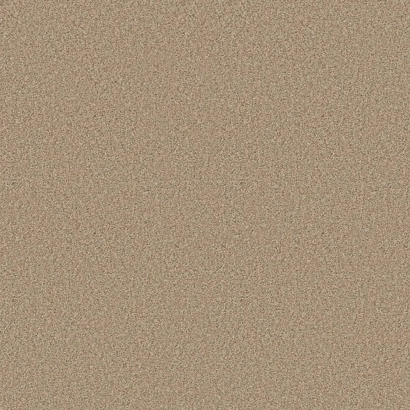 Shaw Floors - Carpet - COMFORTING I - Picket Fence