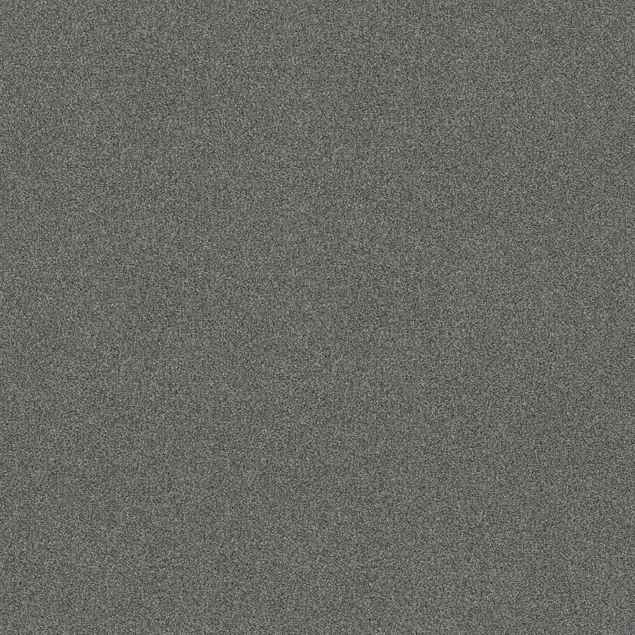 Shaw Floors - Carpet - COMFORTING II - Pencil Point