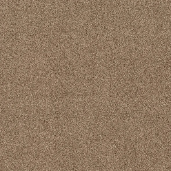 Shaw Floors - Carpet - COMFORTING I - Studio